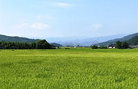 農地を貸す・借りる