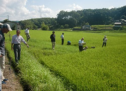 栽培研修の写真/研修