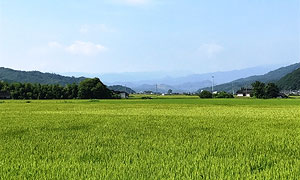 農地 を 貸す